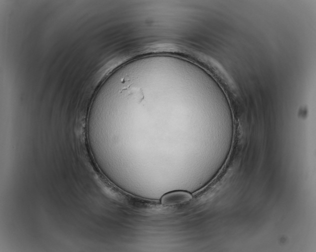 X0000101211225200807251041