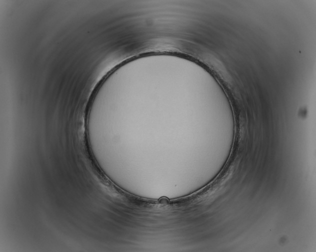 X0000101211226200807251041