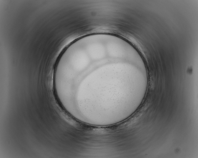 X0000101211227200807251041