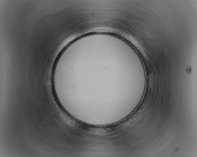 X0000101211229200807251041