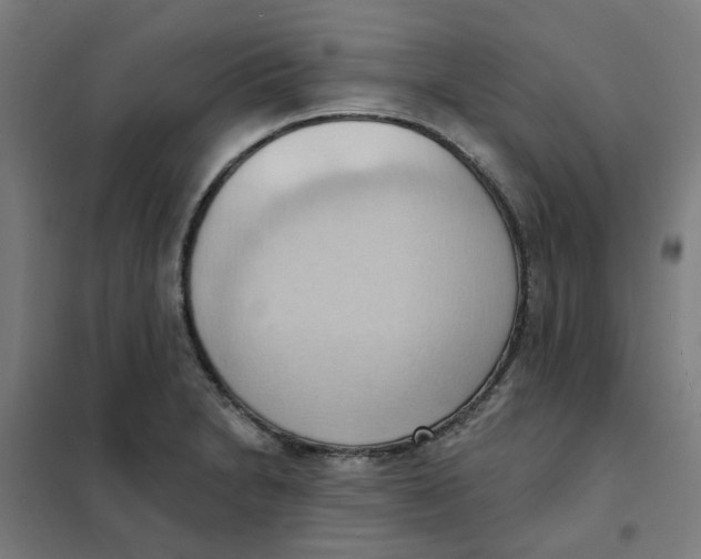 X0000101211230200807251041