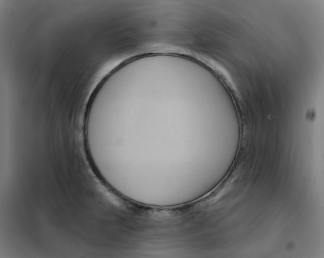 X0000101211231200807251041