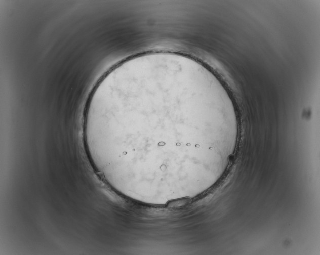 X0000101211232200807251041