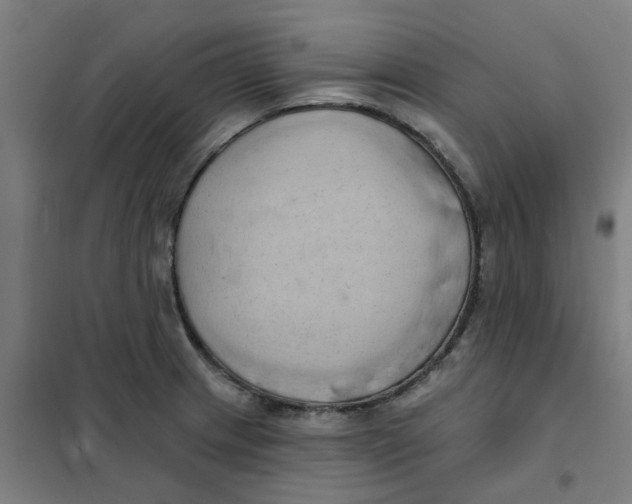 X0000101211233200807251041