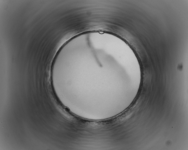 X0000101211234200807251041