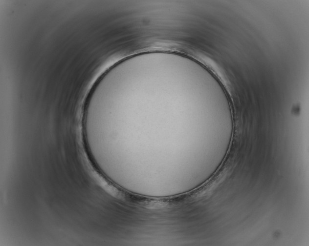 X0000101211235200807251041