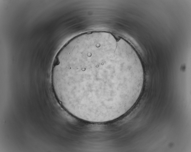 X0000101211236200807251041