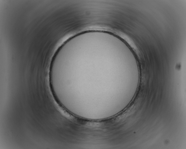 X0000101211237200807251041