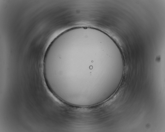 X0000101211239200807251041