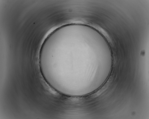 X0000101211240200807251041