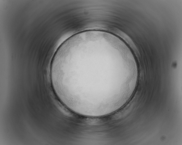 X0000101211242200807251041