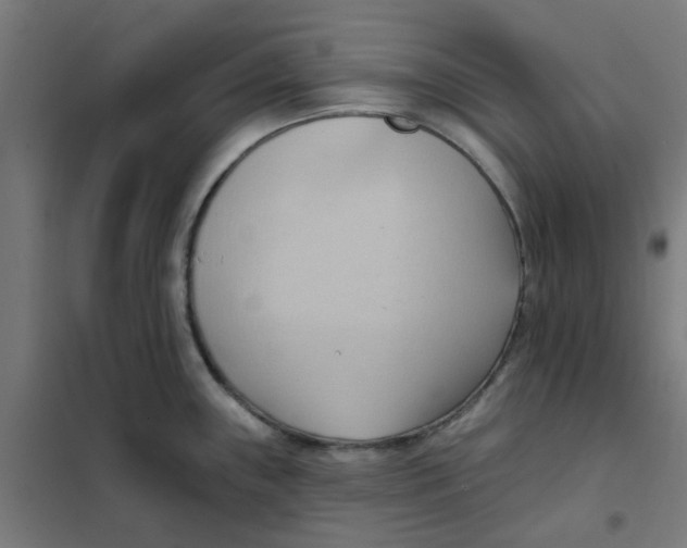 X0000101211243200807251041