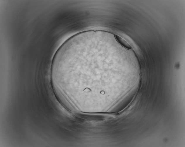 X0000101211244200807251042