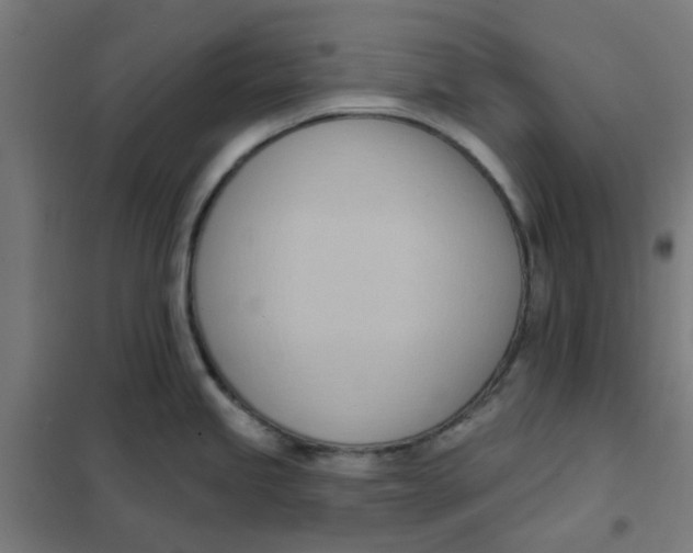 X0000101211245200807251042