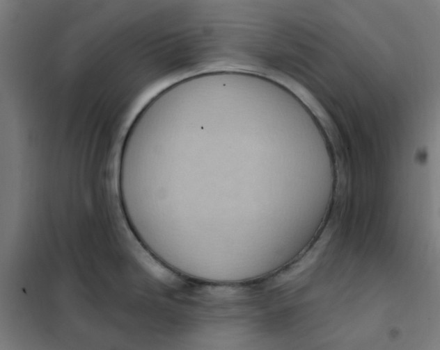 X0000101211246200807251042