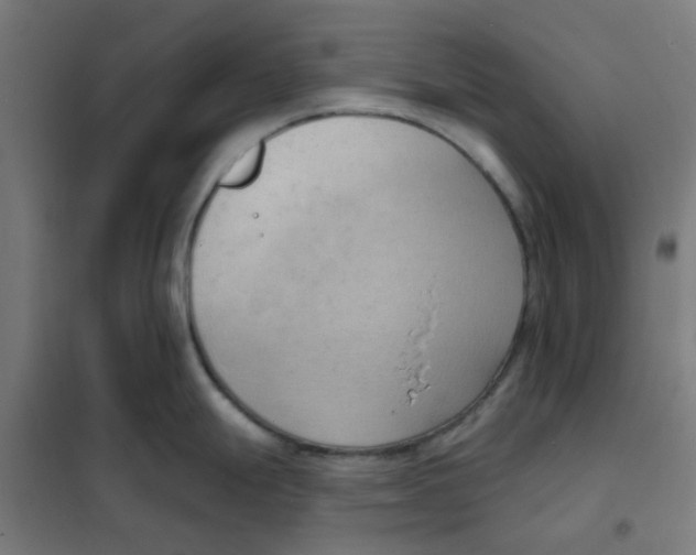 X0000101211247200807251042