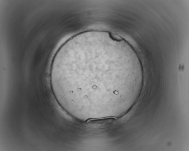 X0000101211248200807251042