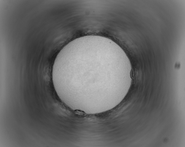 X0000101211250200807251041