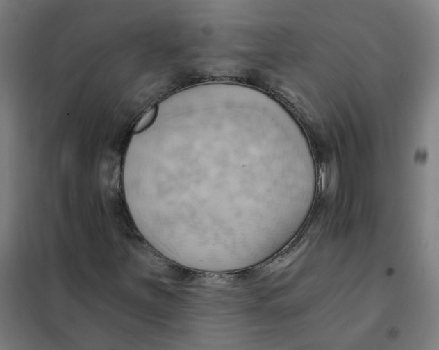 X0000101211251200807251041