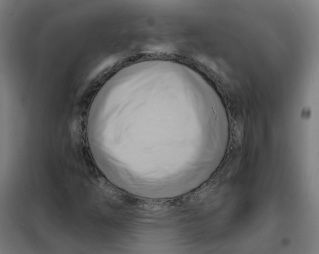 X0000101211254200807251041