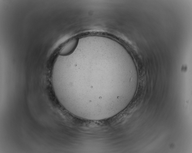 X0000101211255200807251041