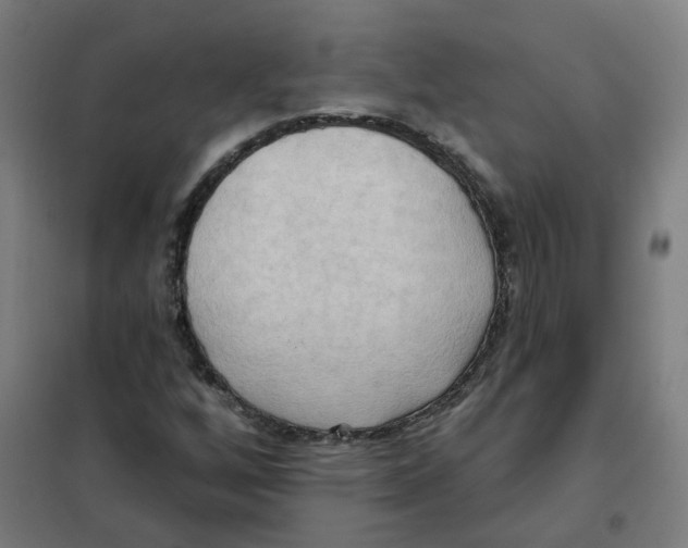 X0000101211256200807251041