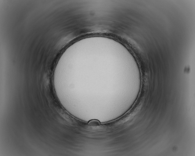 X0000101211257200807251041