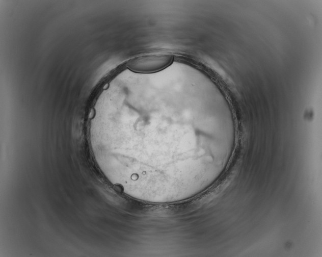 X0000101211259200807251041