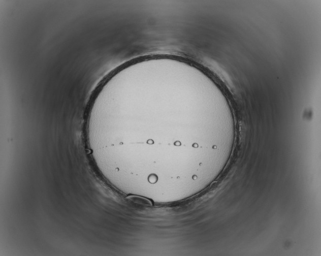 X0000101211260200807251041