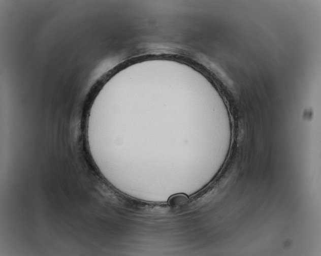 X0000101211261200807251041