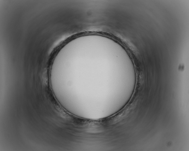 X0000101211262200807251041