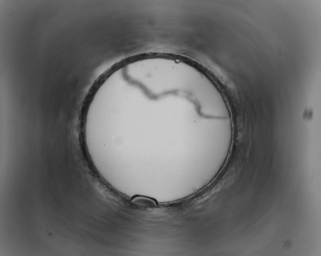 X0000101211264200807251041