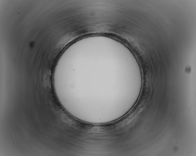 X0000101211265200807251041