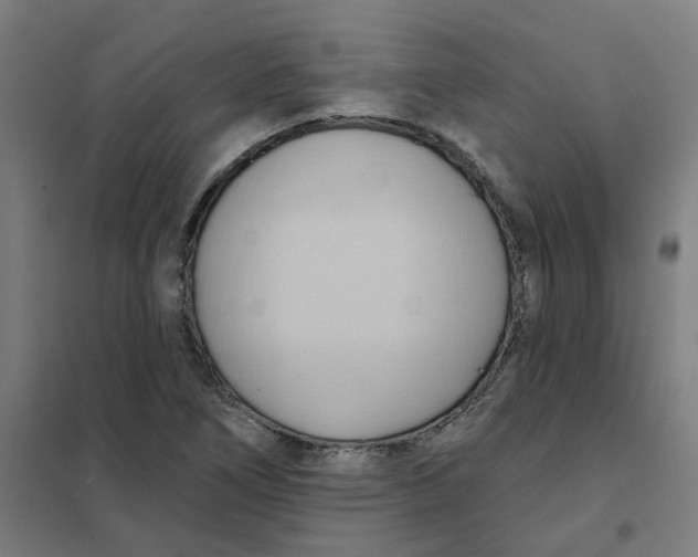 X0000101211266200807251041