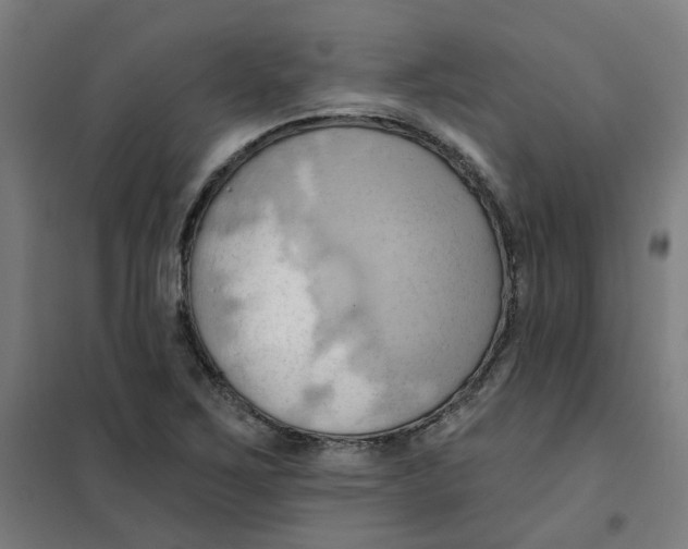 X0000101211267200807251041