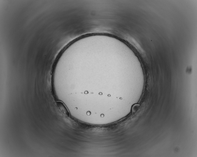 X0000101211268200807251041