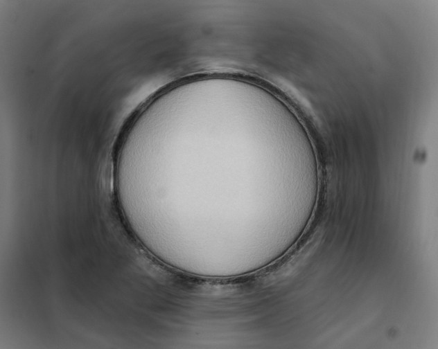 X0000101211269200807251041