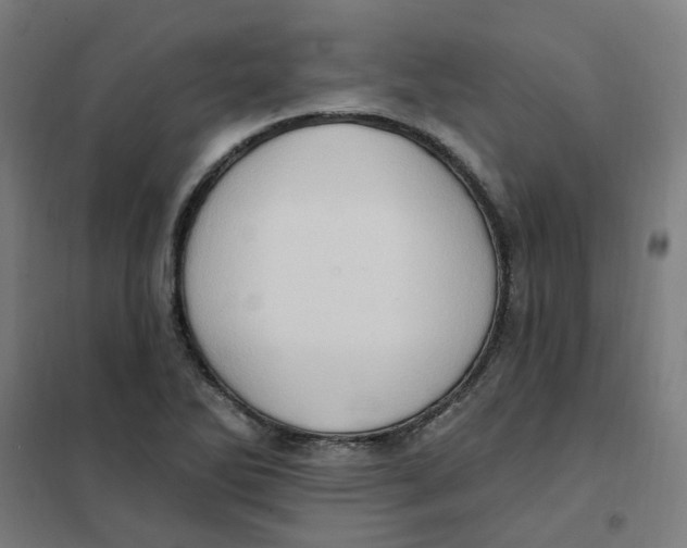 X0000101211270200807251041