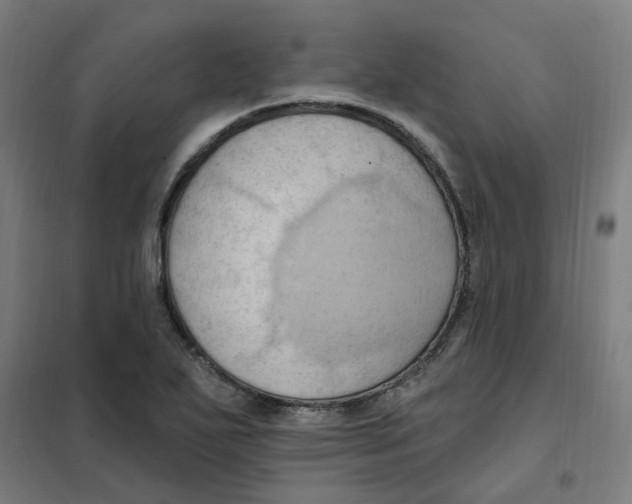 X0000101211271200807251041