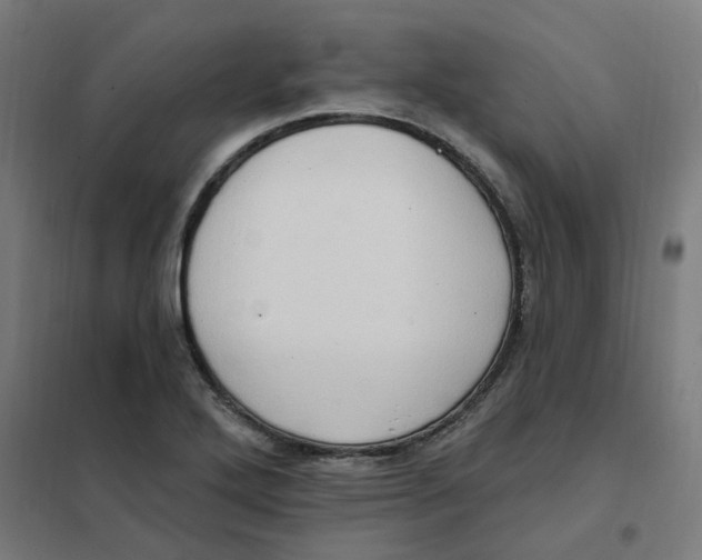 X0000101211272200807251041