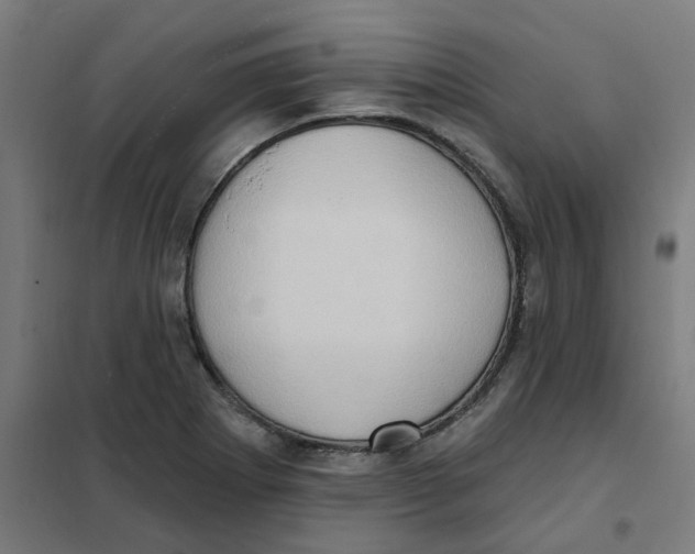 X0000101211273200807251041