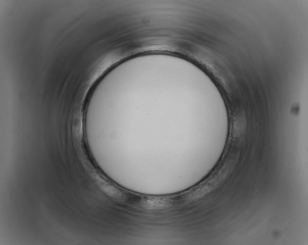 X0000101211274200807251041