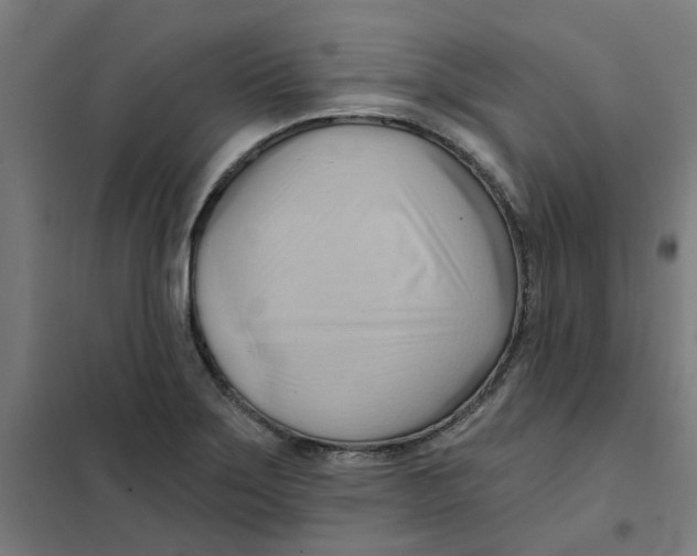 X0000101211275200807251041