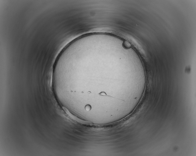 X0000101211276200807251041