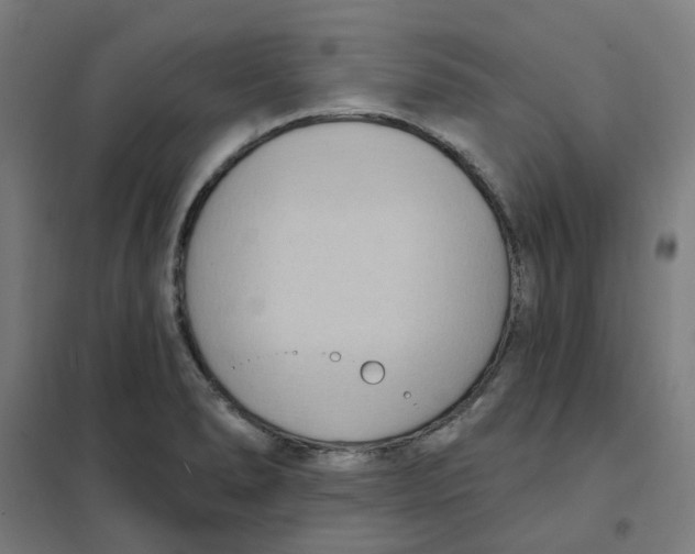 X0000101211278200807251040