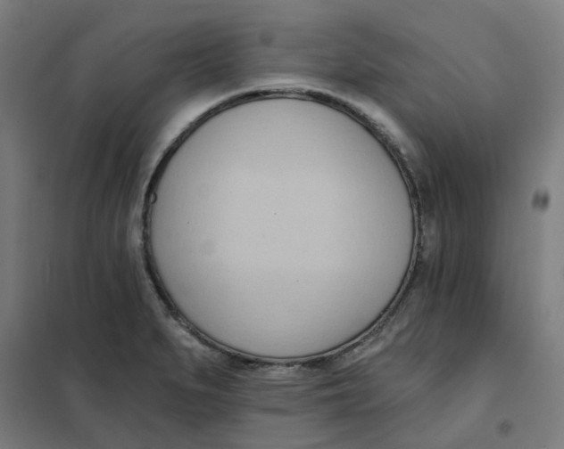 X0000101211279200807251040