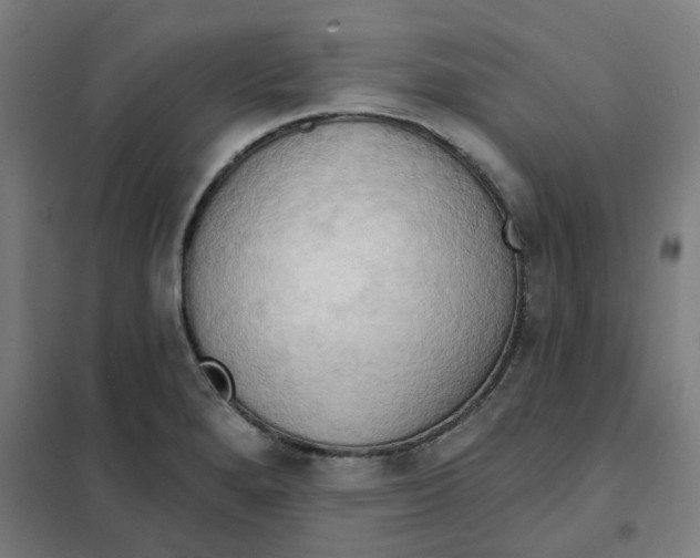 X0000101211280200807251040