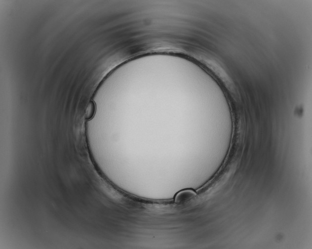 X0000101211281200807251040