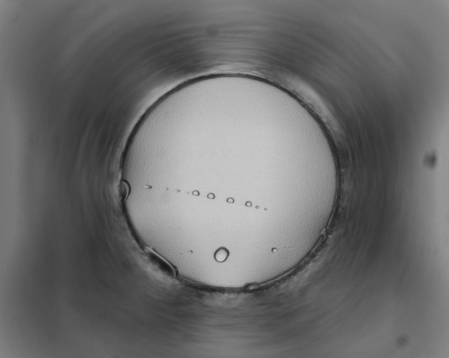 X0000101211284200807251040