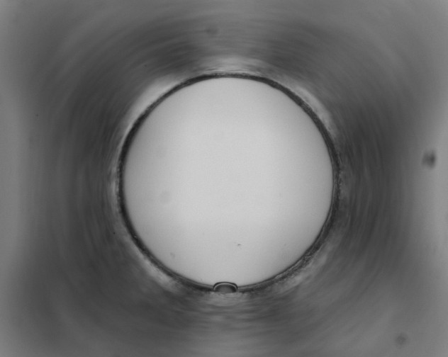 X0000101211285200807251040